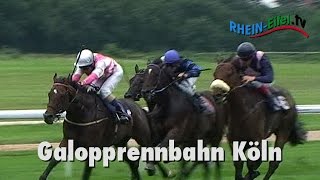 preview picture of video 'Galopprennen in Köln | Rhein-Eifel.TV'