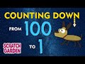 The Counting Down From 100 Song Counting Songs Scratch Garden