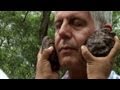 Peru Shaman Gives Anthony Bourdain A Spiritual Bath Parts Unknown