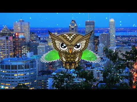 PORTER ROBINSON & MADEON - SHELTER (IVAN KUTRISH HEAVEN TRAP REMIX)