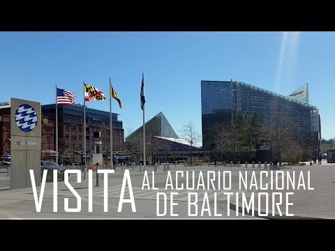 download lagu mp3 mp4 Acuario Baltimore, download lagu Acuario Baltimore gratis, unduh video klip Acuario Baltimore