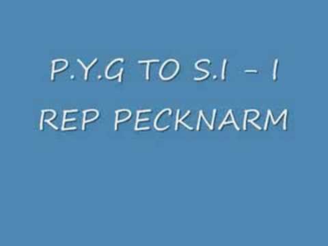 P.Y.G TO S.I - I REP PECKNARM