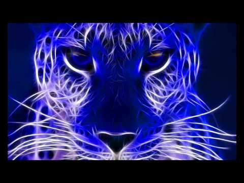 System Nipel Vs. Aquatica - Electrify