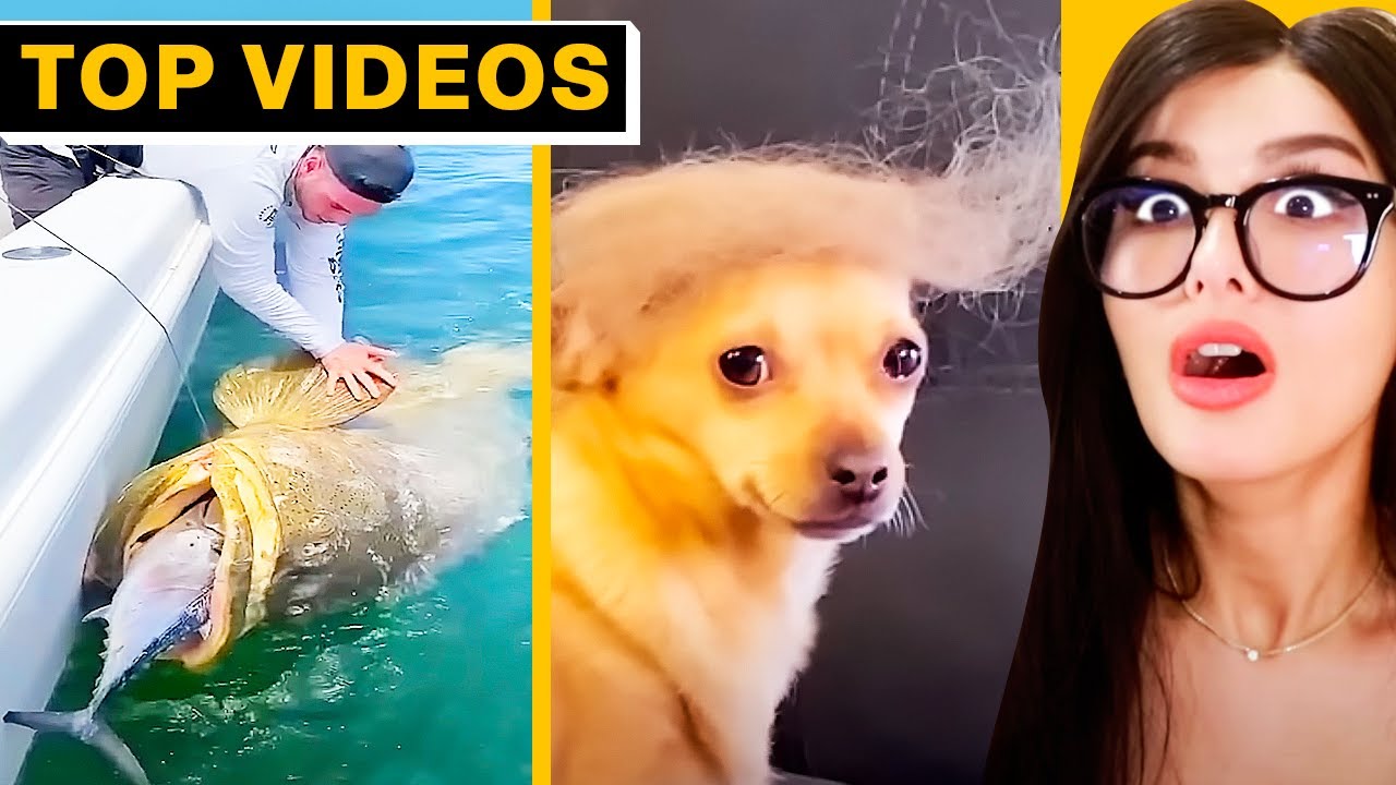 TikToks That Are REALLY WORTH WATCHING! | SSSniperWolf
