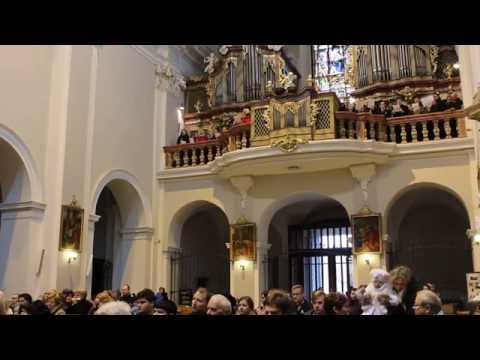 Blahoslavení, svatba Uhlířových 12. 11. 2016