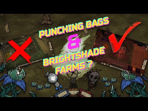 Punching bags and Brightshade farms?