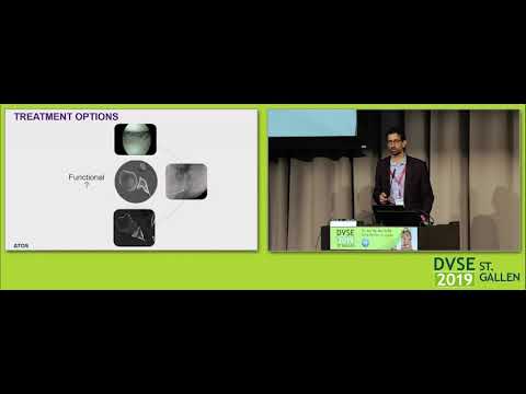 Vortrag von Prof. Tauber auf dem DVSE Kongress in St. Gallen