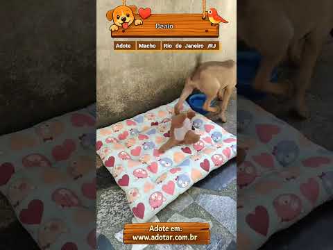 Vídeo de Bento 