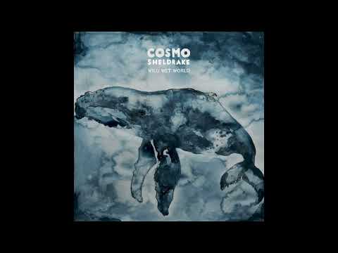 Cosmo Sheldrake - Bodies Of Water