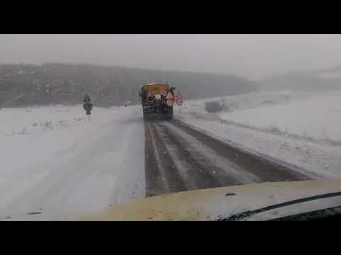 DN3 km 194 Urluia,  jud.  Constanta