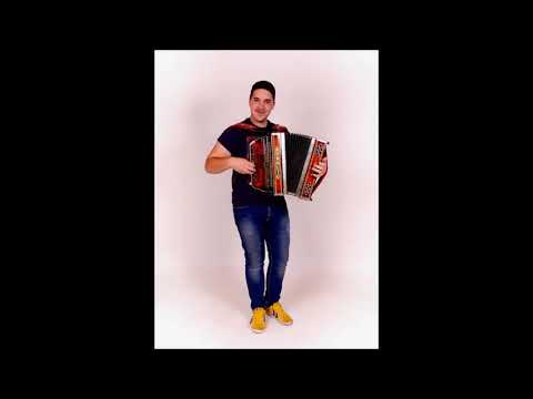Žan Bregar - Na harmonikarskem pikniku (T. Sotošek)