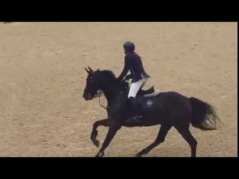 Markus Saurugg & "C Jay" - China Tour Final Guangzhou 2016 - Grand Prix