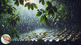 Durma Rápido e Alivie o Estresse com o Som de Chuva Suave nas Folhas 🌧️
