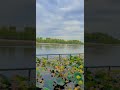 channel