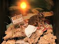 Adult Swim Peep Show Box Bumps 2010