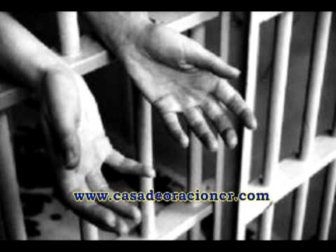 SI ME HUBIERA DECIDIDO ANTES. Tratado Bíblico No. 304