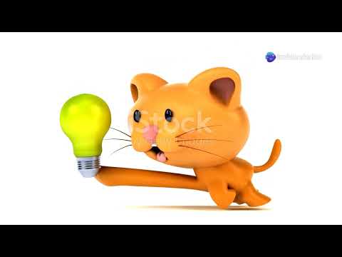 From RAGS TO RICHES: The Billionaire Cat tale