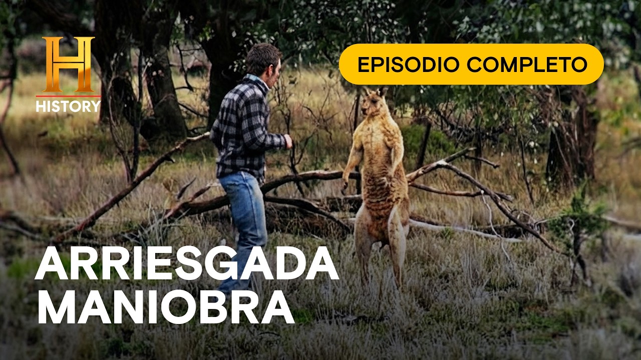 ¡LE DIO UN PUÑETAZO A UN CANGURO PARA SALVAR A SU PERRO!  - Increíble con Dan Aykroyd - Ep Completo
