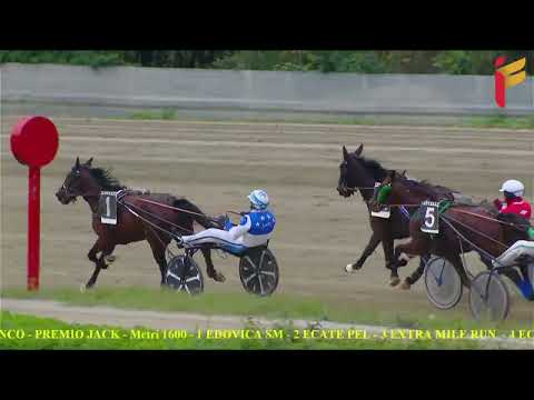 III Corsa del 12 novembre 2022 - 2 Anni - Metri 1600