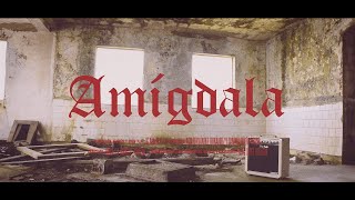 Vídeo 2