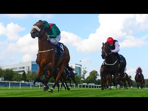 She's special! Four Group One wins for Tahiyra following Matron Stakes heroics