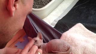 Land of a thousand kisses