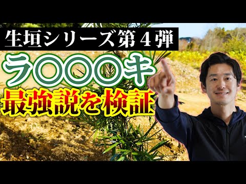 生け垣アーチはこうやって作られる トピックス