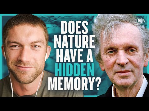 Does Nature Have A Hidden Memory? - Rupert Sheldrake | Modern Wisdom Podcast 379