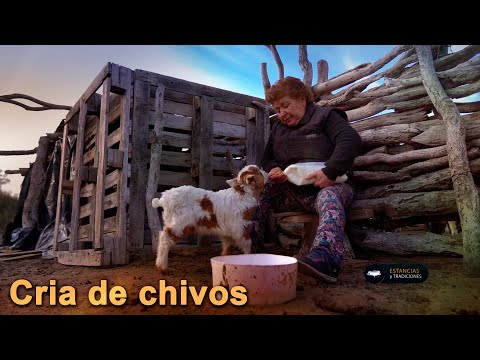 260 Jofré Family - San Pedro (San Luis) - Ranches and Traditions