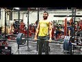 ZOO CULTURE AT NIGHT! | DEADLIFTS AND BACK WORKOUT