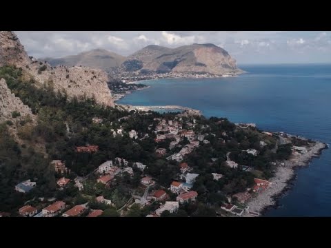 MC BILAL - SPRACHLOS 🌴 ☀️(Official Video)