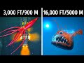 Fascinating 3D Journey to the Ocean Depths