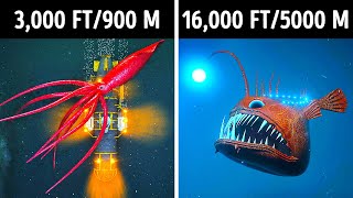 Fascinating 3D Journey to the Ocean Depths