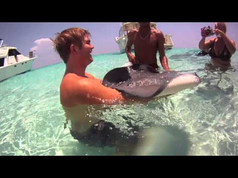 Swimming With Stingrays at StingRay City in Cayman Islands with Chris Hughes Video