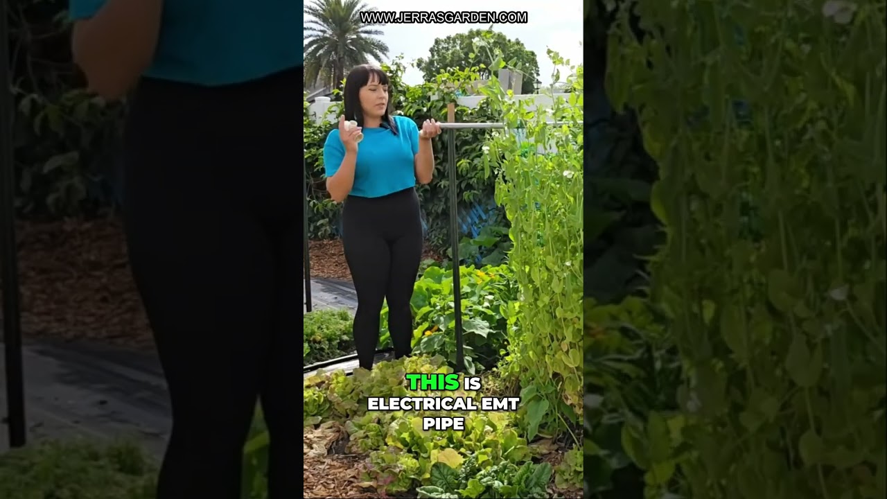 Build a Vertical Trellis: A Simple System for Your Garden