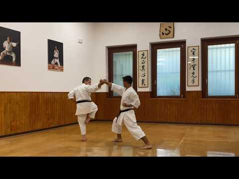 Kankū Dai - Full Karate Kata Explanation with Bunkai - Master Dario Marchini