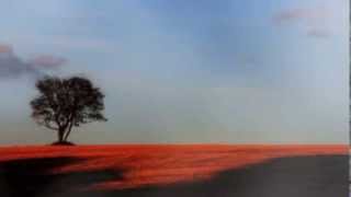 MOBY - MOTHERS OF THE NIGHT