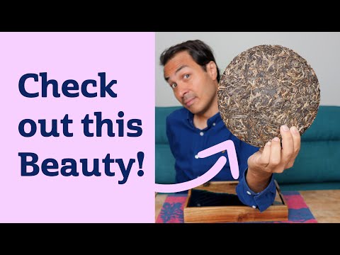 UNIQUE BLEND of 7 Villages to make a CRAZY Yiwu PuErh Tea