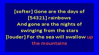 Nick Cave and the Bad Seeds -  Straight to You (karaoke)