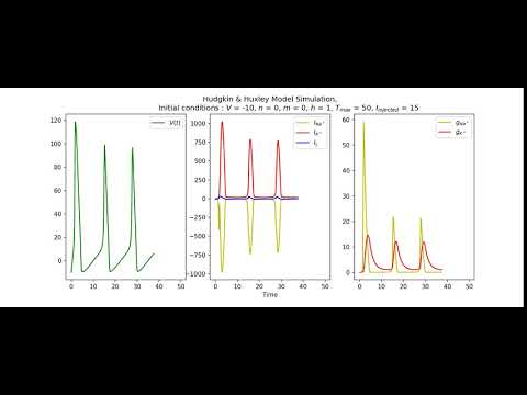 Hudgkin & Huxley model simulation in Python