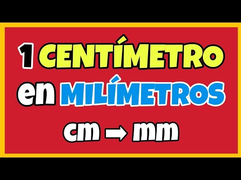 💥 Quanti millimetri ci sono in un centimetro? | cm ➡ mm