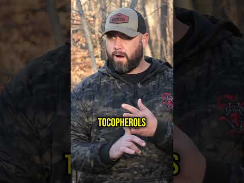 #1 Dog Food Ingredient Linked to Cancer!