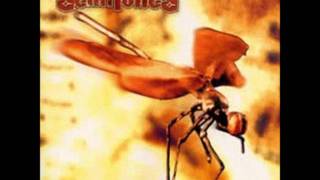 The Semitones - Flakes (Drop A) Bility