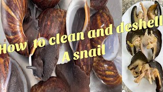 How to  clean and remove snail shell without breaking the shell |easy and fast