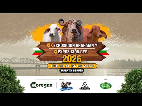 XIX EXPOSICIÒN BRAHMAN Y XI EXPOSICIÒN GYR PUERTO BERRIO - DIA I