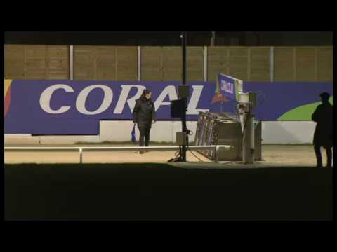 Alien Sea - Coral Essex Vase Heat 2