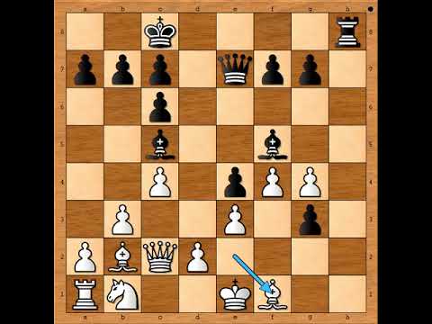 Legendarne prosto neverovatne šahovske partije 🔺️🔻🔺️🔻🔺️ LARSEN vs SPASSKY #3023