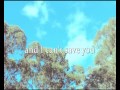 STONEFOX - ''All I Want'' - Debut Single ...
