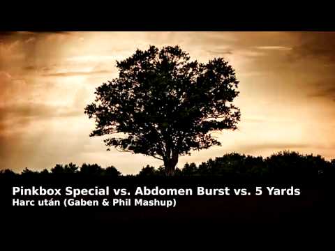 Pinkbox Special vs. Abdomen Burst vs. 5 Yards - Harc Után (Gaben & Phil Mashup)