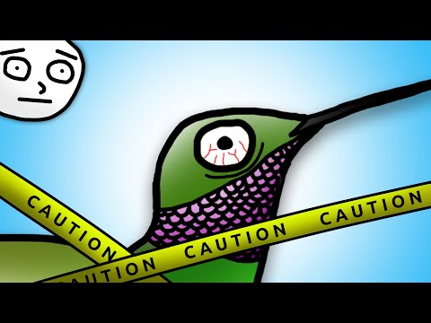 The Psychotic Life of a Hummingbird
